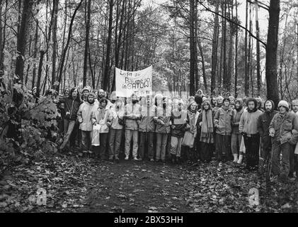 Berlin districts / left-wing groups / 2.11.1979 Protest against tree felling in Gatow to get more visibility for the British military airport. Demonstrators and police officers formed ancient Greek battle lines. It will start soon // Parties / Political Issues / Demo / Nature / Allies [automated translation] Stock Photo