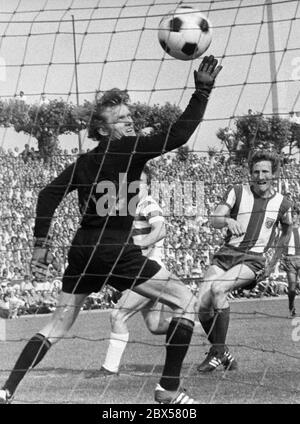 Sepp Maier can not prevent the goal, Schwarzenbeck looks horrified, losing the championship for Bayern Munich, Bundesliga, season 1970/1971, MSV Duisburg against Bayern Muenchen 2: 0, Wedaustadion. Stock Photo