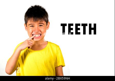 English language learning card with portrait of 8 years old child pointing his teeth isolated on white background as part of school cards set of body Stock Photo