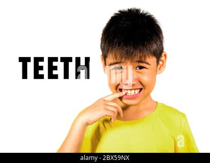 English language learning card with portrait of 8 years old child pointing his teeth isolated on white background as part of school cards set of body Stock Photo