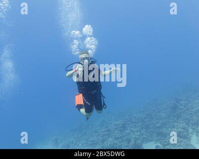 Hurghada, Egypt - November 1, 2016: A young scuba diver enjoys his dive at a Red Sea reef Stock Photo