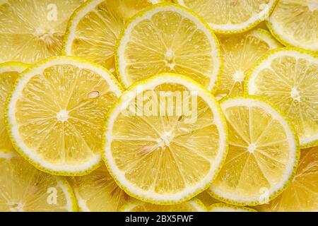 Lemon background. Top view of round slices. Stock Photo