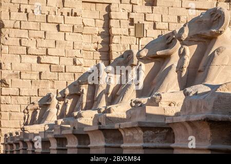 Ram-headed sphinxes in Karnak Temple complex, Luxor, Egypt Stock Photo