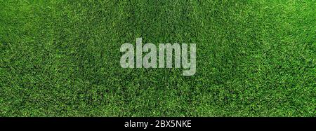 wide directly above shot of fresh green grass or lawn, lush grass background Stock Photo