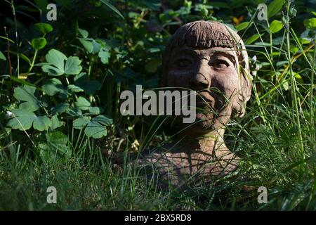 With the UK death toll reaching 38,489, a further 113 victims in the last 24hrs, and the government's pandemic lockdown still in effect, a head sculpture of a young girl rests in long grass in the back garden of a south London property, on 31st May 2020, in London, England. Stock Photo