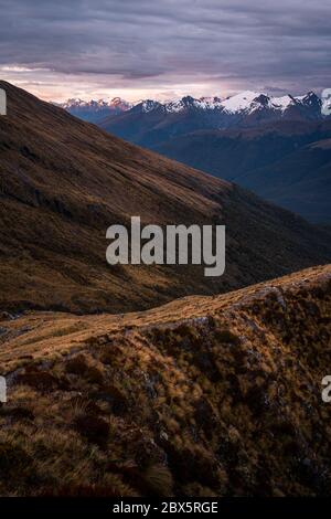 Mount Aspiring National Park, New Zealand Stock Photo