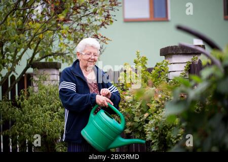 Senior woman gardening, watering her plants and flowers at her huge garden, gardening concept Stock Photo
