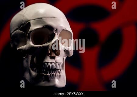 Human skull in front of biohasard symbol Stock Photo