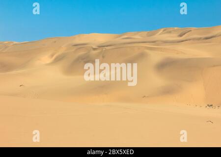 Big sand dunes panorama. Desert and coastal beach sand landscape scenery. Abstract background. Stock Photo