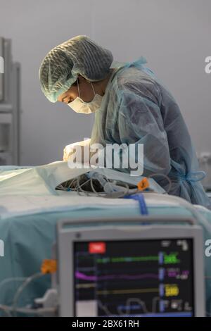 Female veterinarian does cat sterilization surgery and sews up the wound, blurred anesthesia monitor on the foreground, side view. Veterinary surgery, Stock Photo