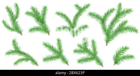 Set of Christmas tree branches with shadows isolated on white backgrounds Stock Vector