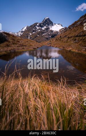 Routeburn Track, Fiordland National Park, New Zealand Stock Photo