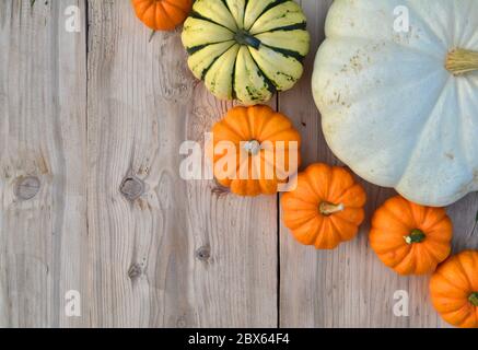 Various pumpkins and squashes on wooden background Stock Photo