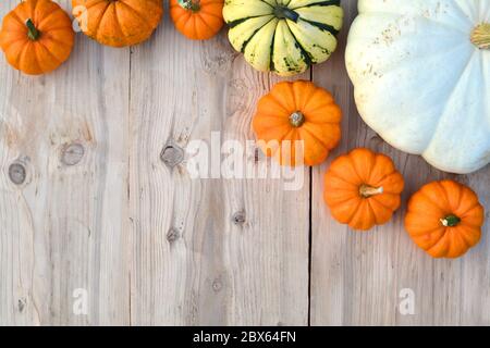 Various pumpkins and squashes on wooden background Stock Photo