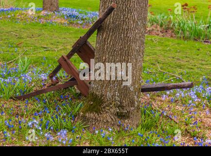 antique farm wheel cultivator tool leaning against a tree in early spring Stock Photo