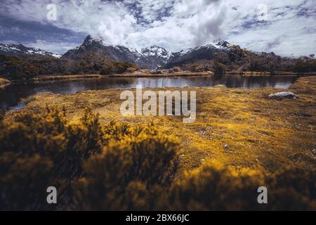 View from key summit, Fiordland National park, south island, New Zealand. Stock Photo