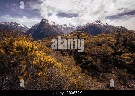 View from key summit, Fiordland National park, south island, New Zealand. Stock Photo