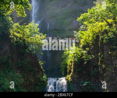 view of the Multnomah Falls in Columbia River Gorge, Oregon Stock Photo