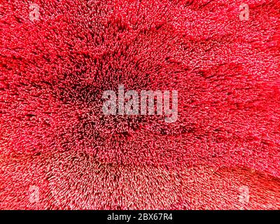 Textures of incense sticks red color at put is overlapping, Select focus, blurry. Stock Photo