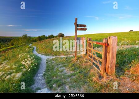 Wooden Sign and Gateway on a Bridleway on the Cleveland Way ner Sutton Bank, North Yorkshire Moors National Park, England, UK Stock Photo