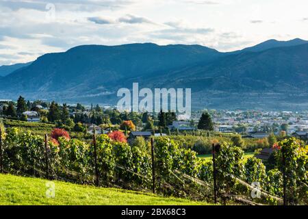 landscape view of the Naramata Bench along Okanagan Lake Stock Photo