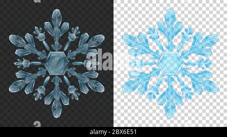 Two big complex transparent Christmas snowflakes in light blue colors for use on dark and light background. Transparency only in vector format Stock Vector