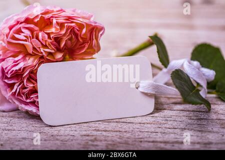 Empty space on white blank tags on rustic wooden table with flower. Happy birthday concept. Stock Photo