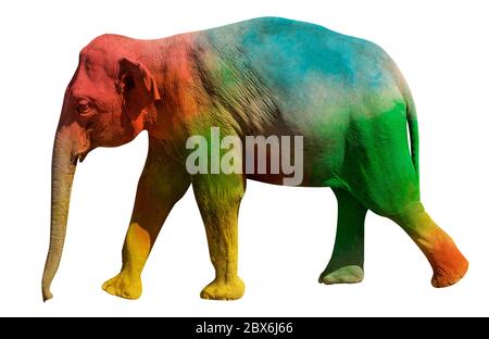 Walking elephant painted in psychedelic  colors red, green, blue and yellow. Side view isolated on white background. Stock Photo