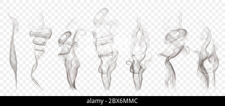 Set of realistic transparent smoke or steam in white and gray colors, for use on light background. Transparency only in vector format Stock Vector