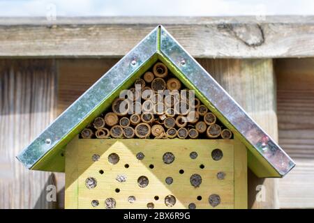 A small ecological insects hotel bug house with a wild bee on the right. Nature and insect friendly hotel. Wild bees and other insects make a nest in Stock Photo