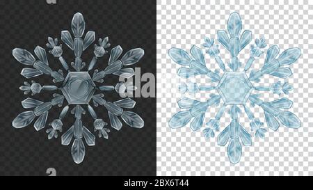 Two big complex transparent Christmas snowflakes in light blue colors for use on dark and light background. Transparency only in vector format Stock Vector