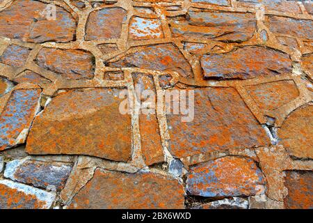 Orange crustose lichen (Caloplaca elegans) growing on the stone walls of Fort Prince of Wales National Historic Site just off Churchill, MB Stock Photo