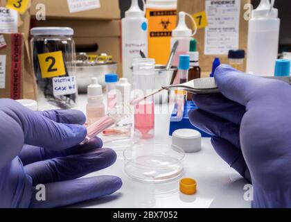 Specialized criminalistic police performs hematological analysis with forensic test kit in a murder in a crime lab, conceptual image Stock Photo