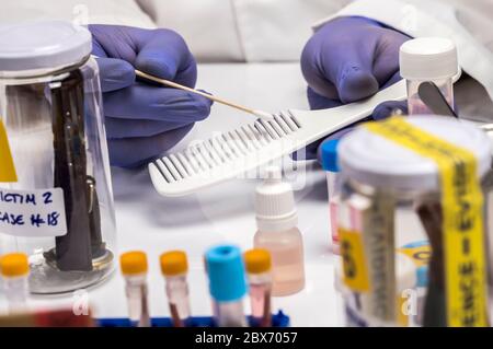 Specialized police take DNA sample from murder victim, conceptual image Stock Photo