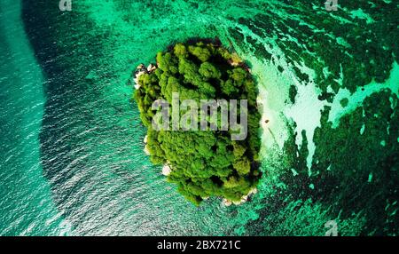 Aerial view of the small rocky island with only trees and plants, surrounded by coral reef and green, transparent waters on Borneo, Malaysia Stock Photo