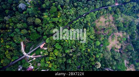 Aerial top-down view on a cable car track in between the forest in the mountains. Penang, Malaysia. Stock Photo