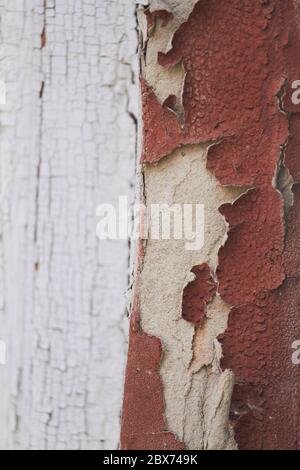 Old flaky cracked paint on gray wall, old paint background, selective focus Stock Photo