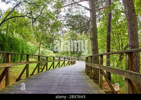 Wooden foot bridge in the forest Stock Photo