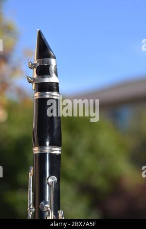 Clarinet a single reed woodwind instrument Stock Photo Alamy