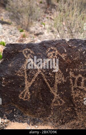 NM00527-00...NEW MEXICO - Figure of two birds pecked into the basaltic rock by Ancestral Puebloans in the Boca Negra Canyon area of Petroglyphs NM Stock Photo