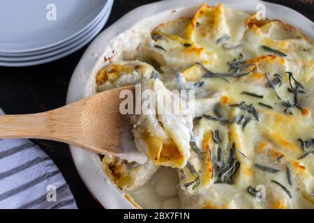 Butternut Squash Stuffed Shells: Jumbo pasta shells stuffed with butternut squash puree and topped with cream sauce, cheese, and sage leaves Stock Photo