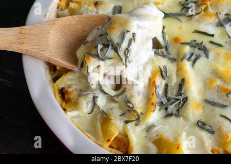 Butternut Squash Stuffed Shells: Jumbo pasta shells stuffed with butternut squash puree and topped with cream sauce, cheese, and sage leaves Stock Photo