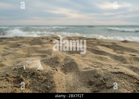 Disposable plastic dirty coffee cup discharged waste,throw pollution,sea shore Stock Photo