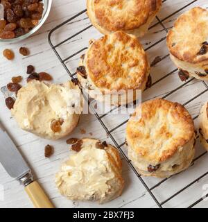 Fruit scones on rack.  Top view.  With sultanas and butter. Stock Photo