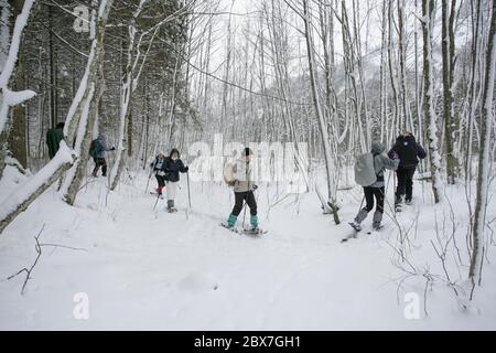 SNOWSHOE HIKE IN BAVARIA Stock Photo