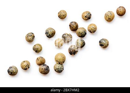 French green or le puy lentils scattered.  Isolated on white, top view. Stock Photo