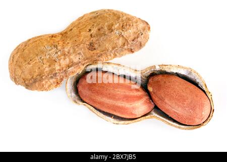 Roasted raw peanuts in shell, top view, isolated. Stock Photo