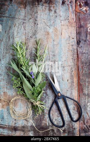 Bouquet garni of fresh herbs with twine and scissors.  Top view over grunge timber background. Stock Photo