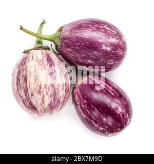 Three baby graffiti eggplants isolated on white.  Overhead view. Stock Photo