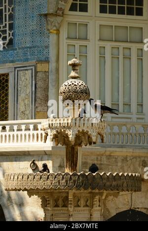 Some birds drink water in a fountain in a palace scene spot Stock Photo